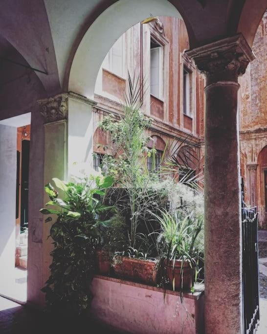 In A 1400s Building In Via Dei Coronari Piazza Navona Holiday home