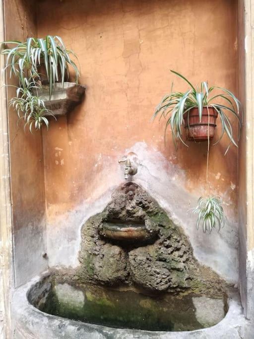 In A 1400s Building In Via Dei Coronari Piazza Navona Holiday home Rome
